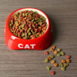 Special cat food